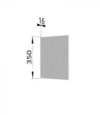Панель торцевая (для шкафа горизонтального) ПГ Ройс (Графит софт) в Битках - bitki.mebel54.com | фото