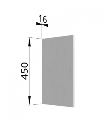 Панель торцевая (для шкафа горизонтального высокого) ВПГ Ройс (Графит софт) в Битках - bitki.mebel54.com | фото