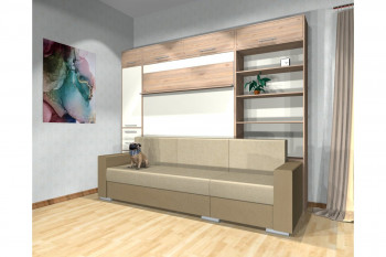 Шкаф-кровать с диваном Каролина в Битках - bitki.mebel54.com | фото
